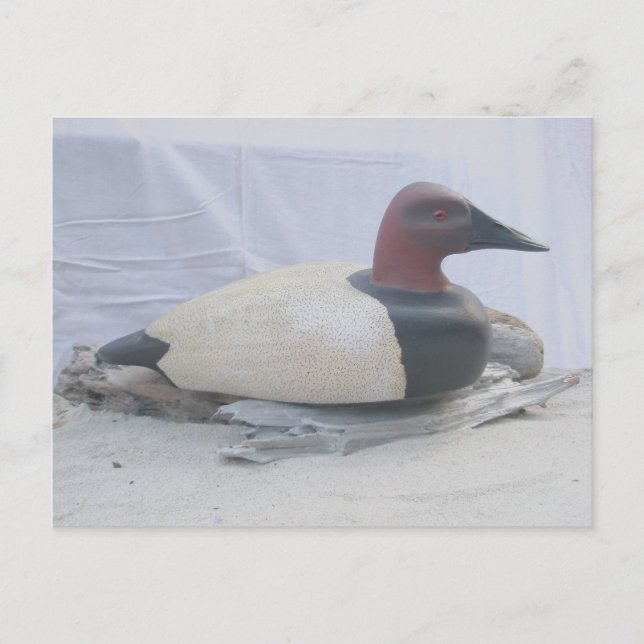 Canvasback Duck Decoy Postcard Postkarte (Vorderseite)