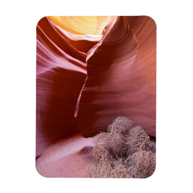 Canyon in vielen Farben Magnet (Vertikal)