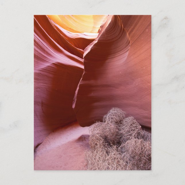 Canyon in vielen Farben Postkarte (Vorderseite)