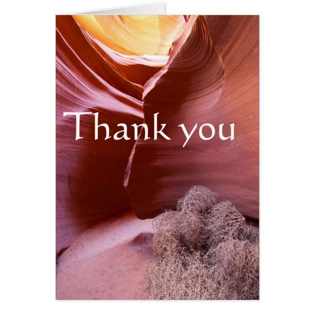 Canyon in vielen Farben, vielen Dank (Vorne)