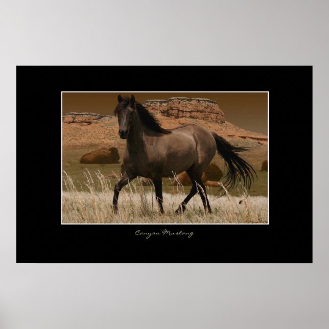 CANYON MUSTANG Reitschutz Kunst drucken Poster (Vorne)