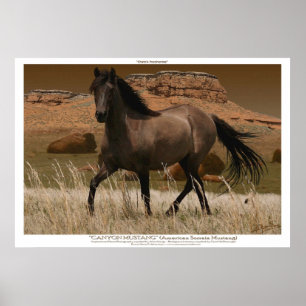 CANYON MUSTANG Reitschutz Kunst drucken Poster