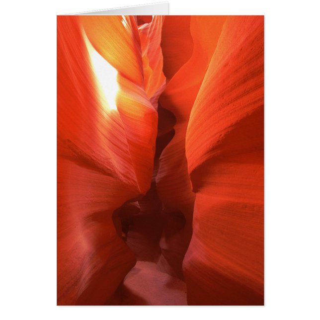 Canyon Passage Card (Vorne)