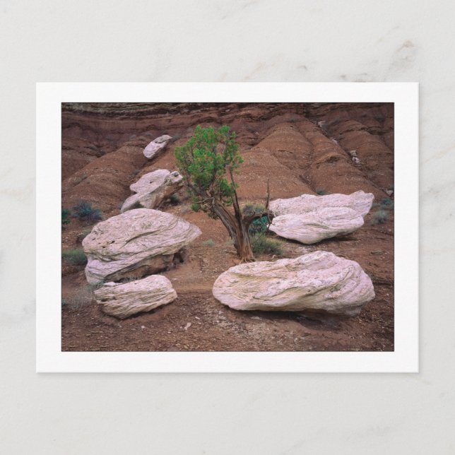 Canyon Pods Postkarte (Vorderseite)