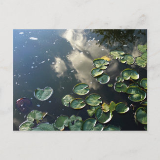 Canyon Seen Postcard Postkarte