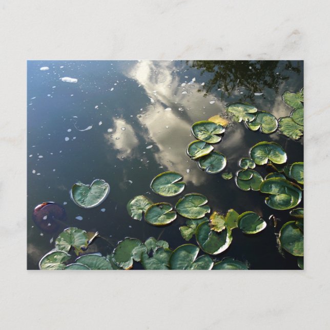 Canyon Seen Postcard Postkarte (Vorderseite)