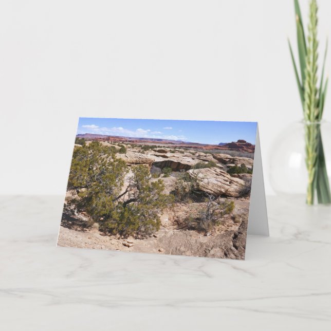 Canyonlands Aussicht vom Höhlensprings-Pfad Karte (Vorderseite)