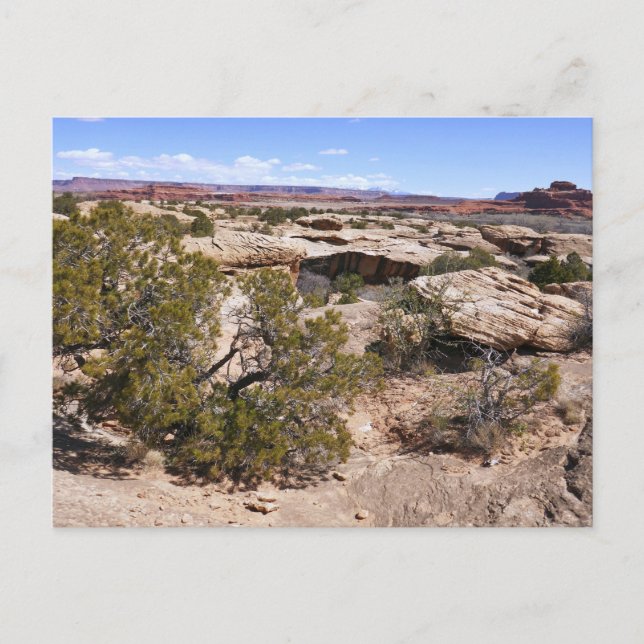 Canyonlands Aussicht vom Höhlensprings-Pfad Postkarte (Vorderseite)