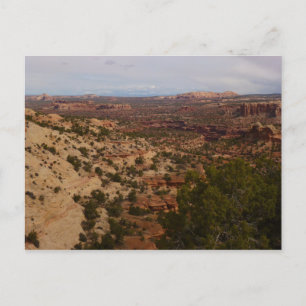 Canyonlands Aussicht vom Neck Springs Trail Postkarte