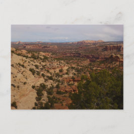 Canyonlands Aussicht vom Neck Springs Trail Postkarte