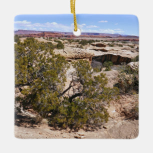 Canyonlands Blick vom Cave Springs Trail Keramikornament