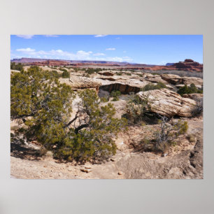 Canyonlands Blick vom Cave Springs Trail Poster