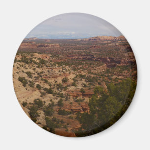 Canyonlands Blick vom Neck Springs Trail Magnet