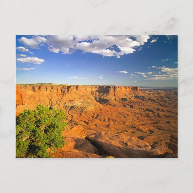 Canyonlands National Park, Utah, Vereinigte Staate Postkarte (Vorderseite)