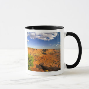 Canyonlands Nationalpark, Utah, Vereinigte Staaten Tasse