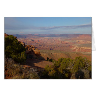 Canyonlands View von Grand View Point Trail
