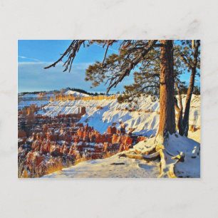 Canyonschlucht Winter Schnee Kiefer Utah Postkarte
