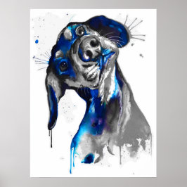 Cão em Azul Poster