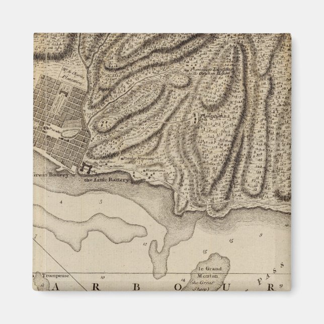 Cap Francois Magnet (Vorne)