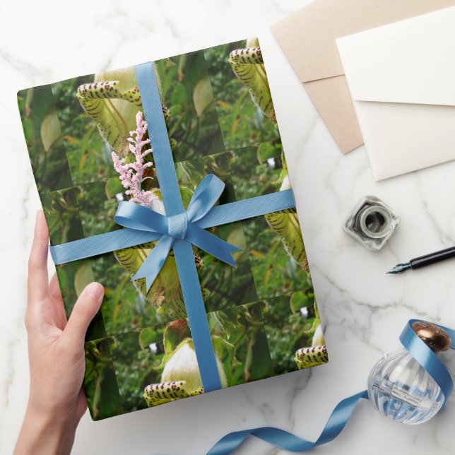 Capanea Grandiflora Geschenkpapier (Schenken)