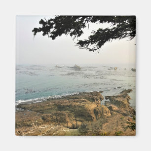 Cape Arago Staat Park, Oregon Coast Magnet