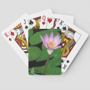 Cape Blue Water Lily (Nymphaea Capensis) Spielkarten