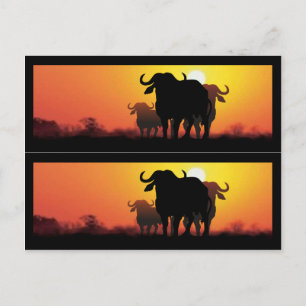 Cape Buffalo Buchmarkierungen Postkarte