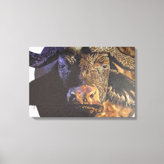 Cape Buffalo Leinwanddruck (Vorderseite)