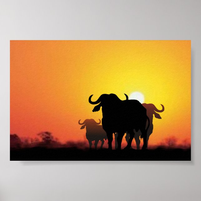 Cape Buffalo Poster (Vorne)