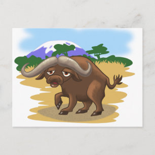 Cape Buffalo Postkarte