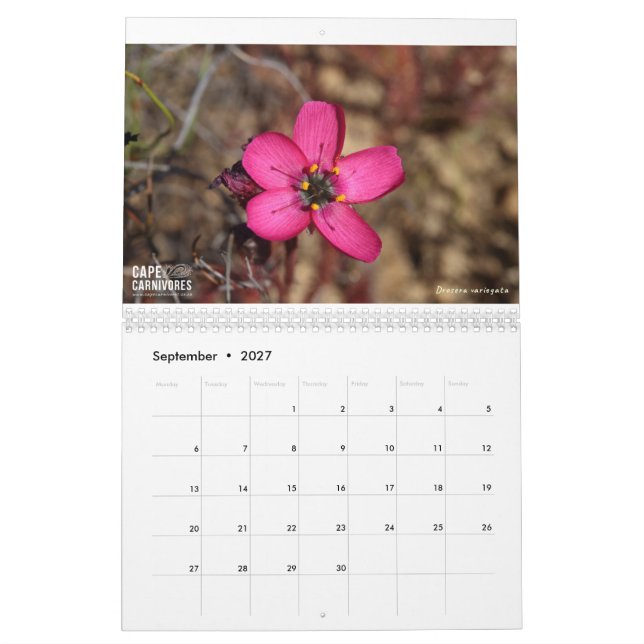 Cape Carnivores Kalender 2022 (Sep 2027)