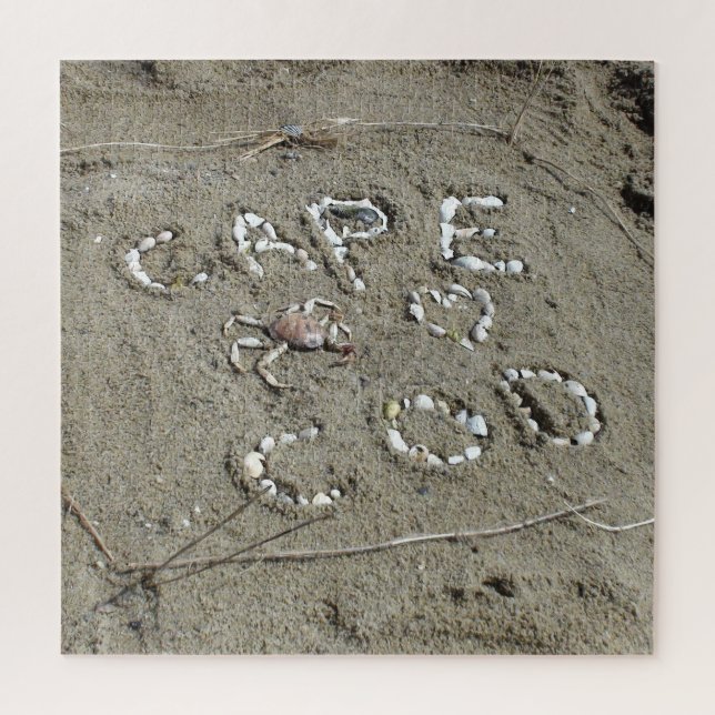 Cape Cod Beach Muscheln Puzzle (Vertikal)