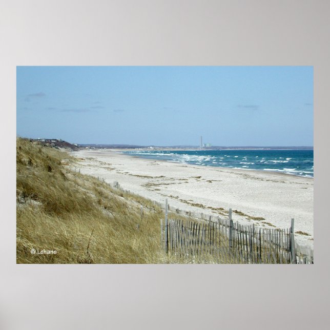 Cape Cod Beach Poster (Vorne)