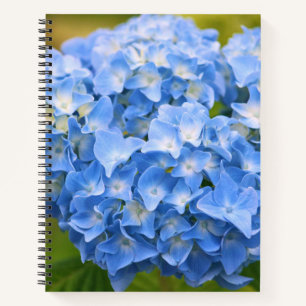 CAPE COD HYDRANGEA NOTEBOOK NOTIZBUCH