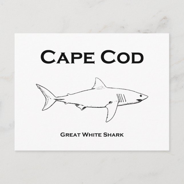 Cape Cod Massachusetts Großes Weiß Hai Logo Postkarte (Vorderseite)