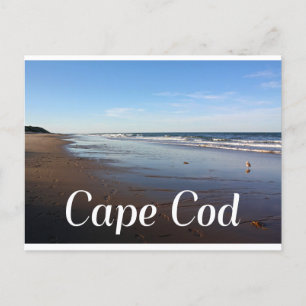 Cape Cod, Massachusetts Nauset Beach Postcard Postkarte