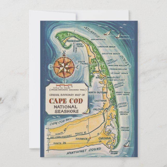 Cape Cod National Seashore 5x7 Postcard Dankeskarte (Vorderseite)