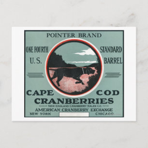 Cape Cod Pointer Markenbezeichnungen Cranberry Lab Postkarte