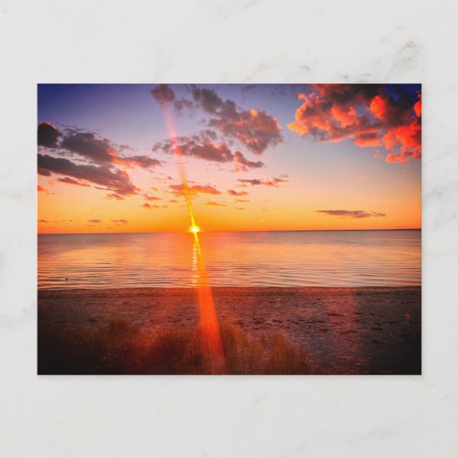 Cape Cod Strand Sonnenuntergang Foto Postkarte (Vorderseite)