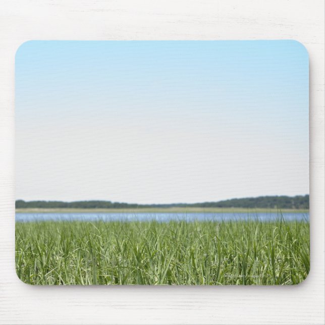 Cape Cod-Sumpf Mousepad (Vorne)