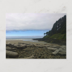 Cape Cove, Cape Perpetua, Oregon Postkarte