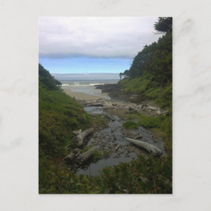 Cape Cove, Cape Perpetua, Oregon Postkarte