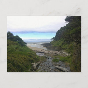 Cape Cove, Cape Perpetua, Oregon Postkarte