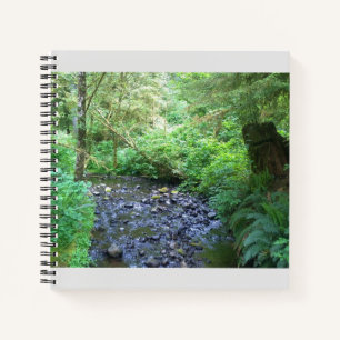 Cape Creek, Cape Perpetua, Oregon Notizbuch
