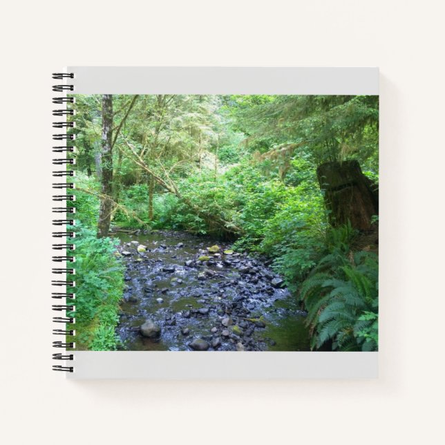 Cape Creek, Cape Perpetua, Oregon Notizbuch (Vorderseite)