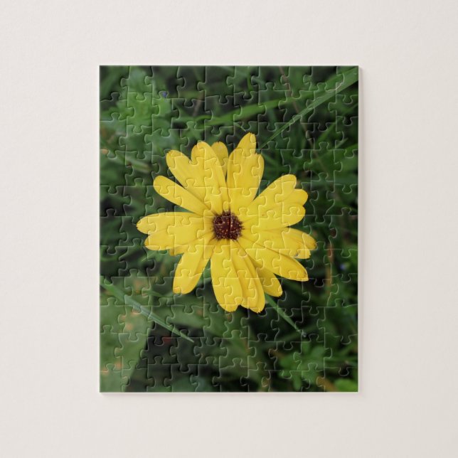 Cape Daisy (gelbe Blume) Jigsaw Puzzle (Vertikal)