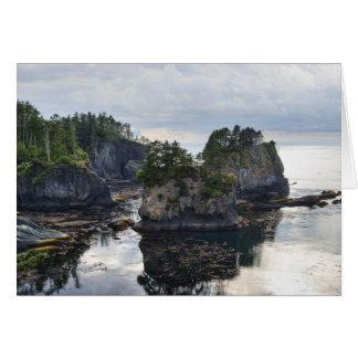 Cape Flattery