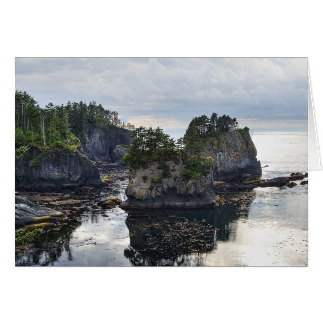 Cape Flattery (Vorderseite (Horizontal))