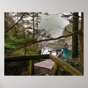 Cape Flattery Olympische Halbinsel - Washington Poster