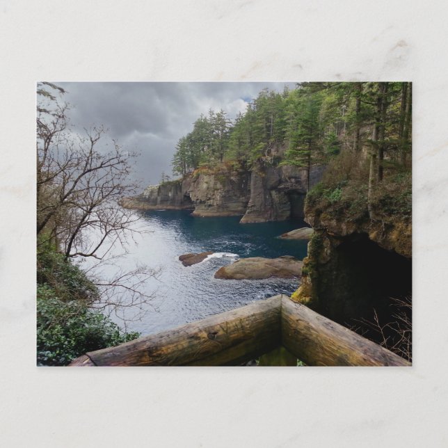 Cape Flattery Olympischer Nationalpark Postkarte (Vorderseite)